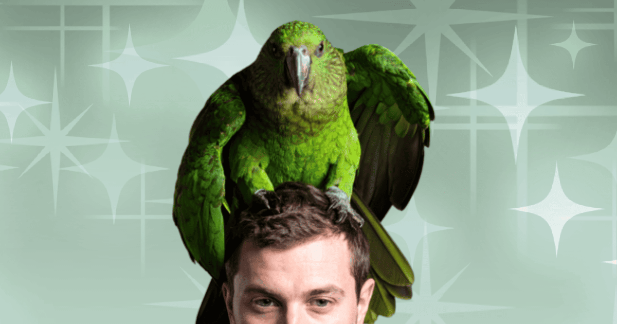 kakapo.swf - カカポクリッカーFlash